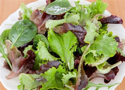 Delicious Salad Of Different Types Of Lettuce Leaves Stock Photo
