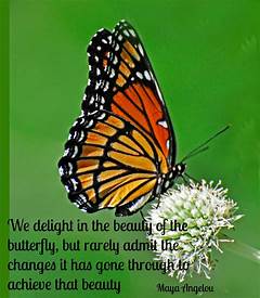 The Butterfly Effect For Your Life Igniting The Power Of Your Hidden Potential