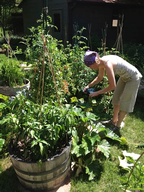 Companion Planting 101: Putting Your Garden to Work for You | Kitchn