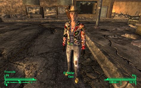 I will be focusing on 2 permanent companions throughout this guide. New Cass Armor Companion at Fallout New Vegas - mods and ...