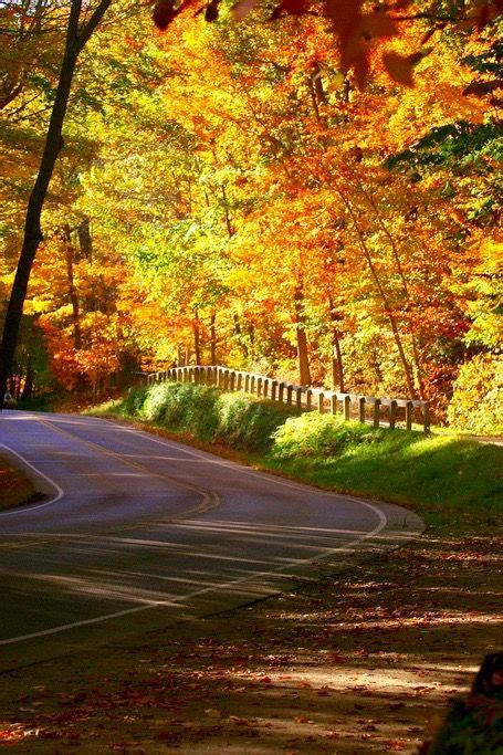 12 Country Roads In Ohio That Are Pure Bliss In The Fall Fall Foliage