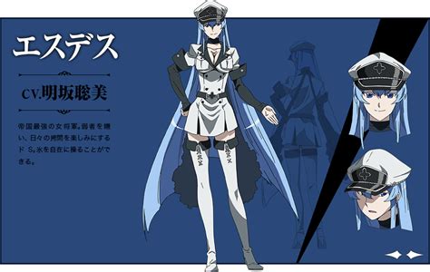Image Character Esdesepng Akame Ga Kill Wiki Fandom Powered By