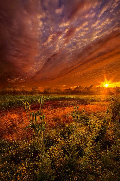 The Never Ending Story Wisconsin Horizons By Phil Koch