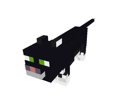 Black Cat Minecraft Mobs Tynker