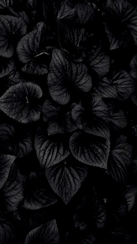 4k Black Wallpapers Top Free 4k Black Backgrounds Wallpaperaccess