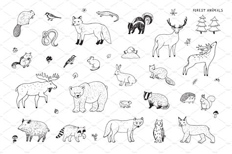 Forest Animals Pictures To Color Coloring Easy For Kids