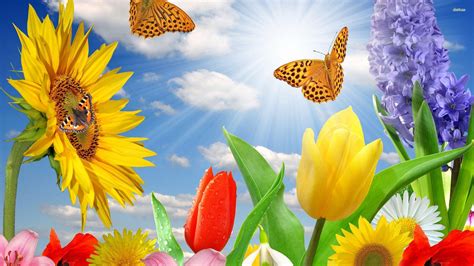 Check spelling or type a new query. Butterflies Backgrounds - Wallpaper Cave