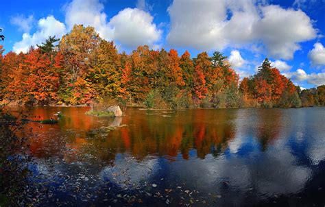 Wallpaper Autumn Forest The Sky Leaves Clouds Trees Lake Paint