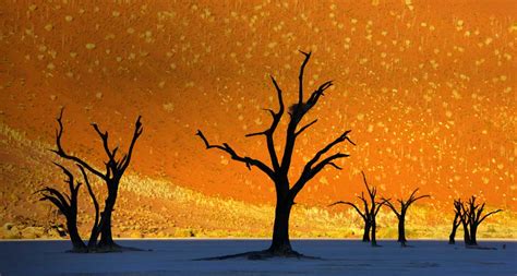 Peter schwalbe chooses one of his favourite images. haiku-bing: Dead trees in Dead Vlei, Namib-Naukluft Park ...