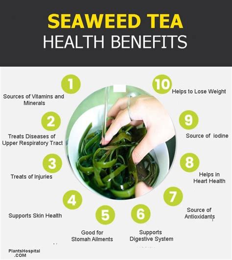 11 Fantastic Health Benefits Of Seaweed Tea Recipe And Warnings