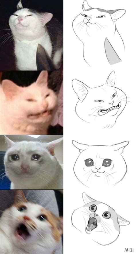 46 Meme Cats Art