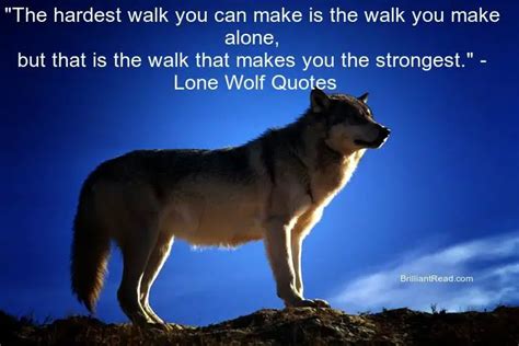 Top 20 Best Ever Wolf Quotes Proverbs And Sayings On Strength