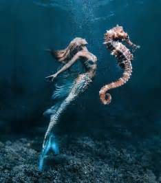 2808 Best Mermaids And Sea Creatures Images On Pinterest Sea