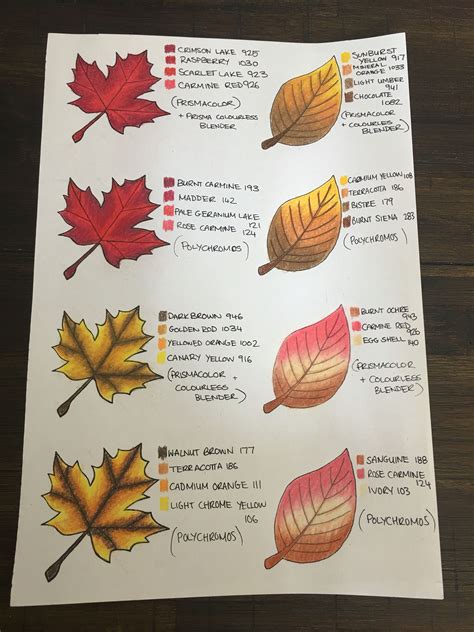 Leaf Colour Chart Coloring Tips Coloring Book Art Leaf Coloring