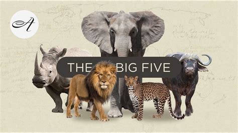 Top 190 The Big Five Safari Animals