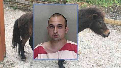 Florida Man Admits To Having Sex With A Miniature Pony