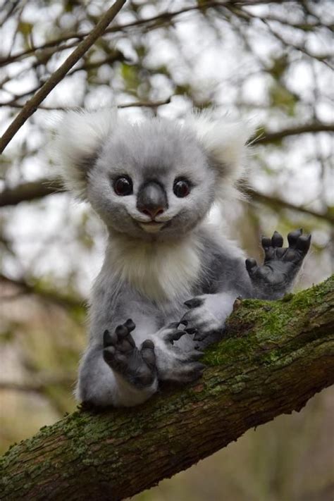 Baby Koala Etsy In 2021 Baby Koala Cute Wild Animals Cute Little