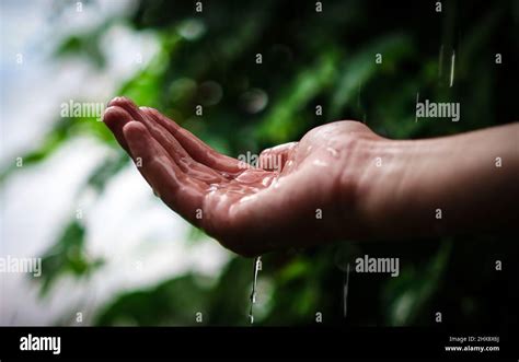 Dripping Raindrops Hi Res Stock Photography And Images Alamy