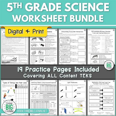 Grade 5 Natural Sciences Term 4 Test Teacha Worksheets Library
