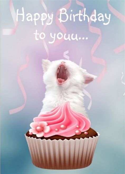 Found On Bing Happy Birthday Wishes Cards Happy Birthday Kitten