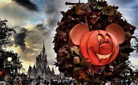 New Halloween Movie Spooked Coming To Disney Theme Park Professor