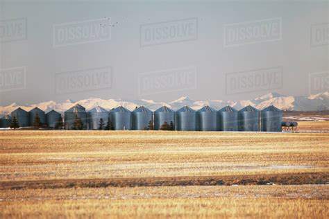 A Row Of Grain Bins In A Cut Grain Field With Snow Covered Mountains