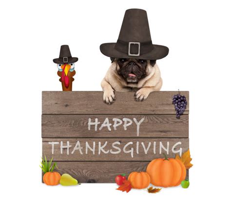 Thanksgiving Dog Clipart Ubicaciondepersonascdmxgobmx