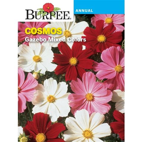 Burpee Gazebo Mixed Colors Cosmos Flower Seed 1 Pack