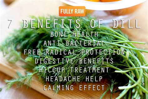 7 benefits of dill food pairings chart how to grow dill natural remedies for insomnia orzo