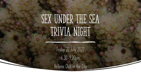 Sex Under The Sea Trivia Night Hellenic Club In The City Canberra 22 July 2022