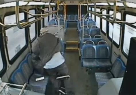 Bus Driver Fired For Punching Talkative Passenger Ny Daily News