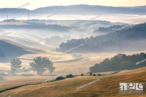 Tuscan Landscape Morning With Fog In The Valleys And Rolling Hills Of