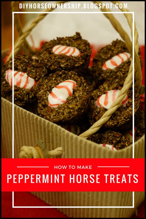 Do It Yourself Horse Ownership Diy How To Make Peppermint Horse Treats