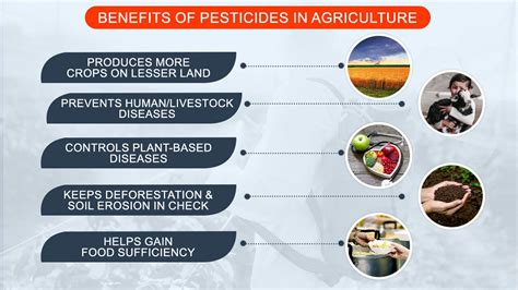 Types Of Pesticides Used In Farming Importance And Benefits 2023