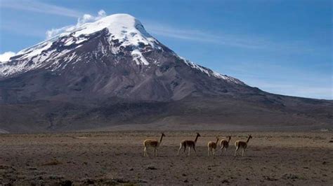 El Volcán Chimborazo Es El Punto Más Alejado Del Centro De La Tierra