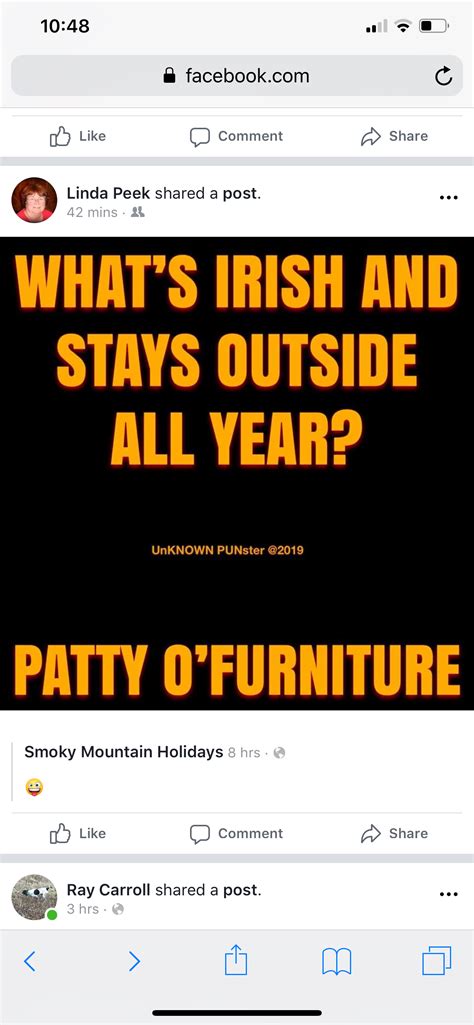 Whats Irish And Stays Outside All Year Irish Outside Stays Wha
