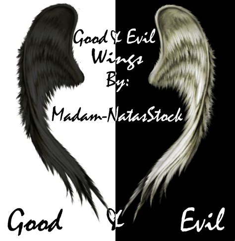 Good And Evil Wings By Madam Natasstock On Deviantart