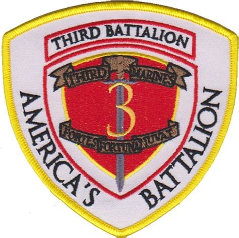 Usmc 3rd Battalion 3rd Marines Patch Marine Forces Sport Team Logos