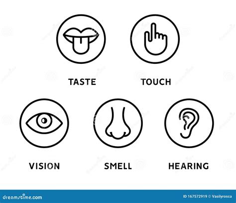 Five Human Senses Vision Eye Smell Nose Hearing Ear Touch Hand