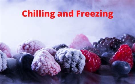 Chilling And Freezing Of Food My E Blackboard