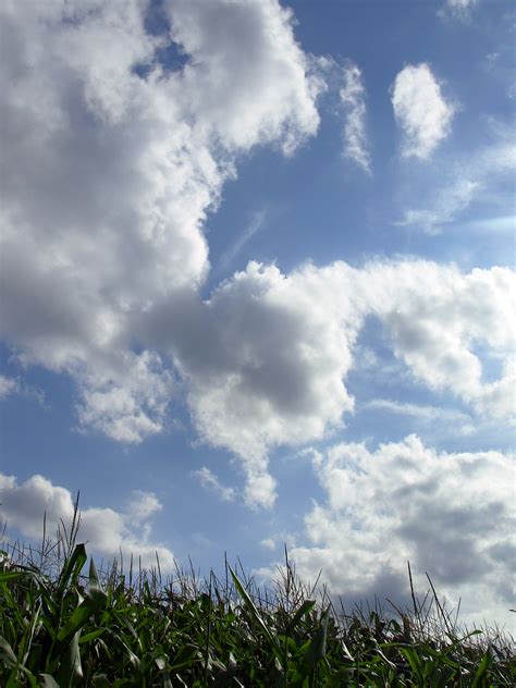 Free Photo Cloudy Sky Blue Bright Clouds Free Download Jooinn