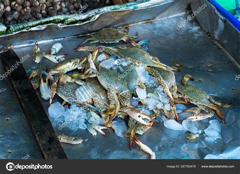 Fresh Seafood Counter Fish Market Ocean Stock Photo By ©kukota 387763478