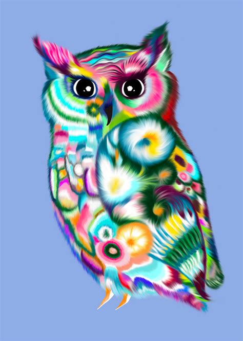 Rainbow Owl Illustration On Behance