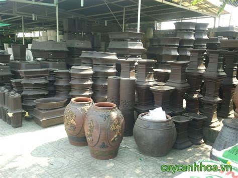 Bảng xếp hạng cup c1 châu âu được cập nhật nhanh và chính xác nhất về cả tỷ số trận đấu của giải champions league. 14.Chau Bonsai cao cap_ - Caycanhhoa.vn