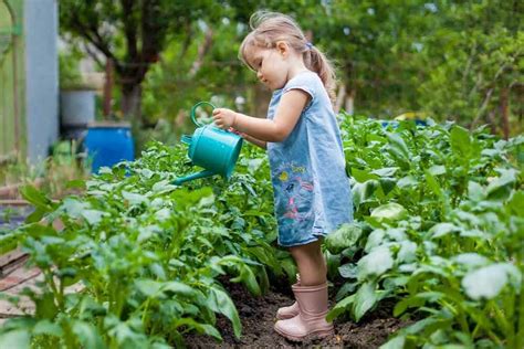 Best Kids Gardening Set In 2023 Kid Sized Garden Tools For Little Helpers