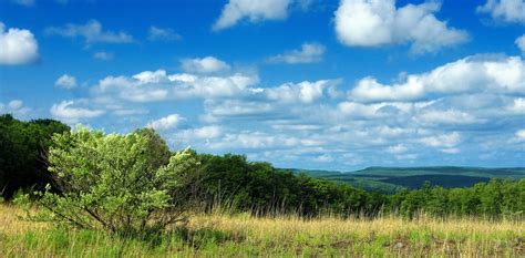 Image Libre Ciel Bleu Paysage Arbre Nature Herbe Champ Prairie