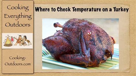 Where To Check Temperature On A Turkey Easy Grilling Tips