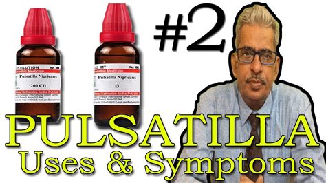 Pulsatilla Part 2 Uses And Symptoms In Homeopathy By Dr Ps Tiwari