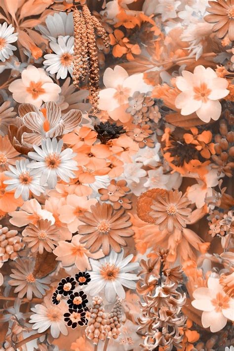 Download Aesthetic Orange Best Flowers Background