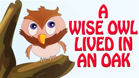 A Wise Owl Lived In An Oak Animated Nursery Rhyme In English Youtube